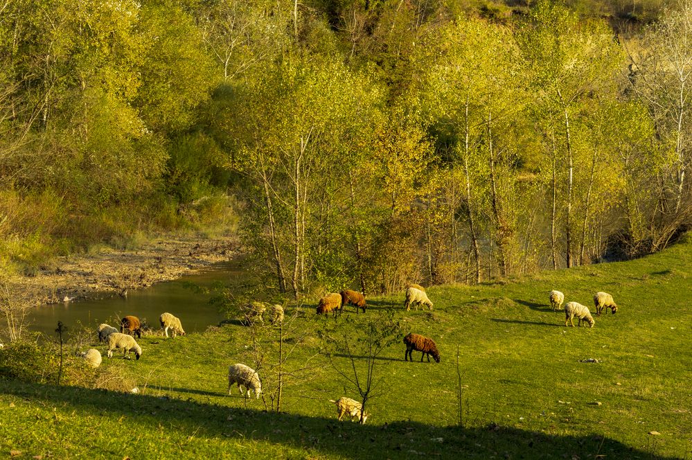 Photograph by Михаил Еремеев