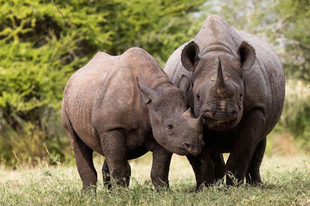 Фотография автора Варвара Дронова