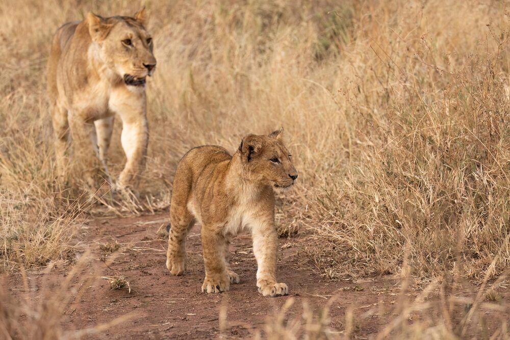 Фотография автора Варвара Дронова