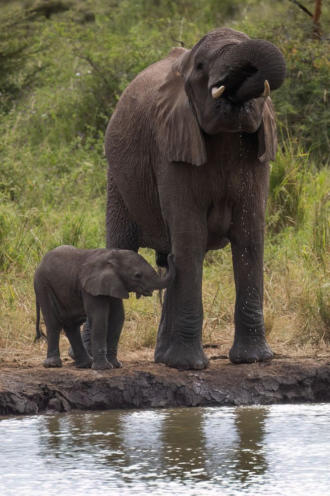 Фотография автора Варвара Дронова