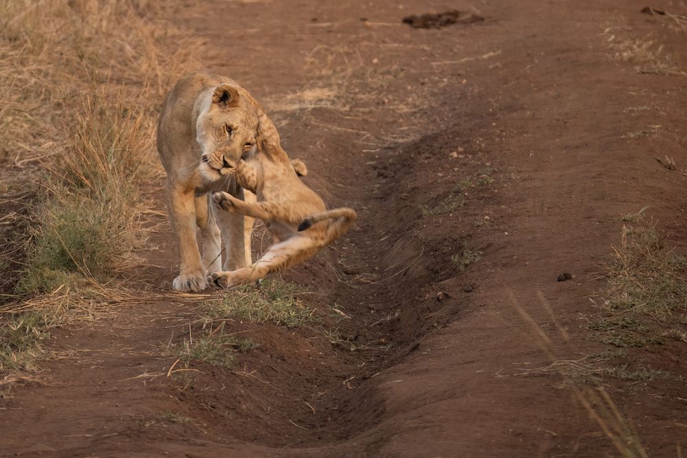 Фотография автора Варвара Дронова
