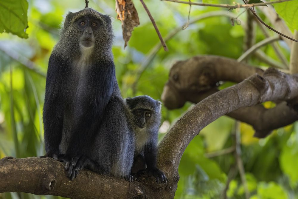 Фотография автора Варвара Дронова
