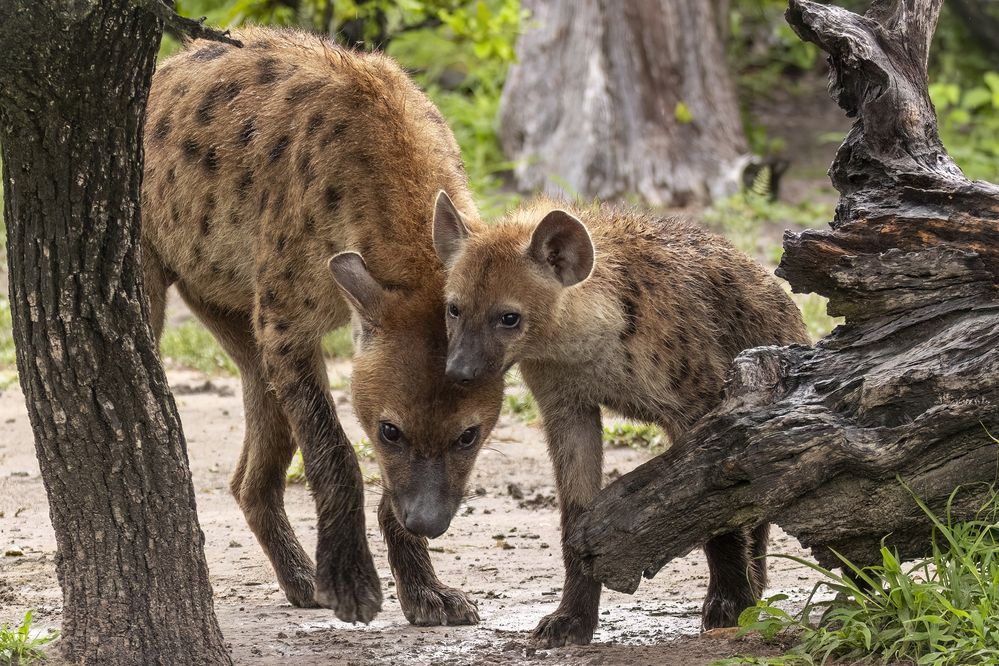 Фотография автора Варвара Дронова