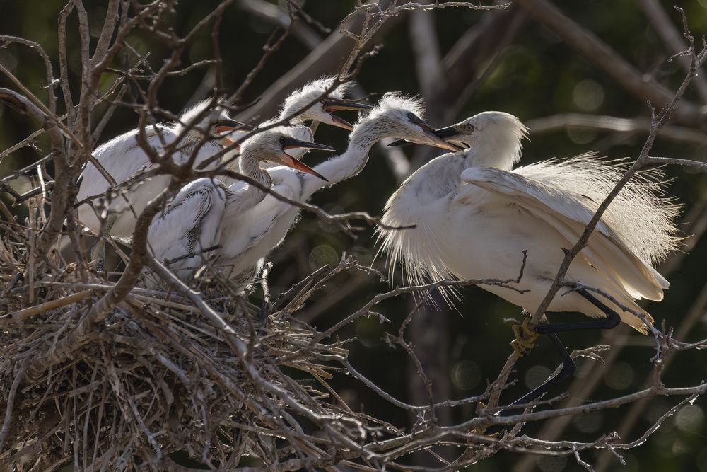 Фотография автора Варвара Дронова