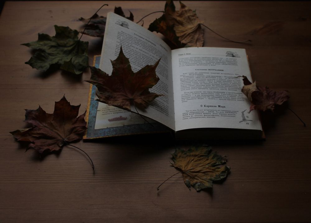 Photograph by Елена Прокофьева