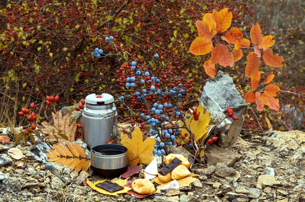 Photograph by Олег Коваль