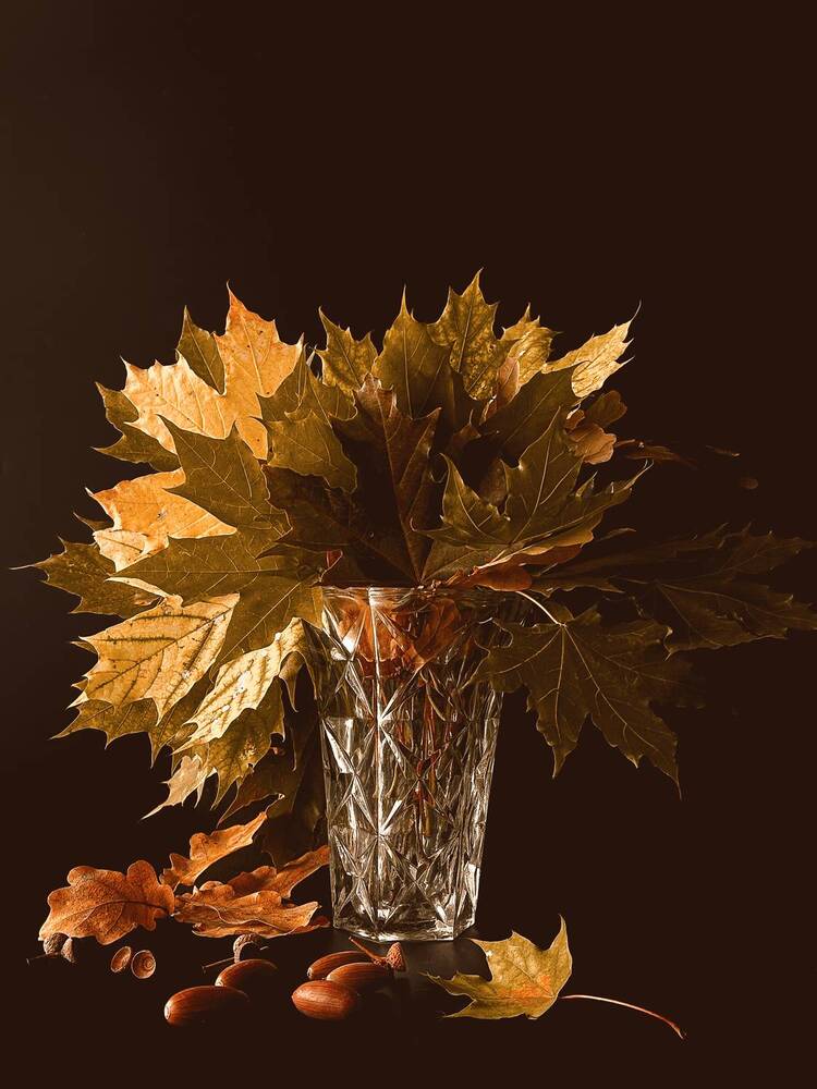 Photograph by Yulia Kotova