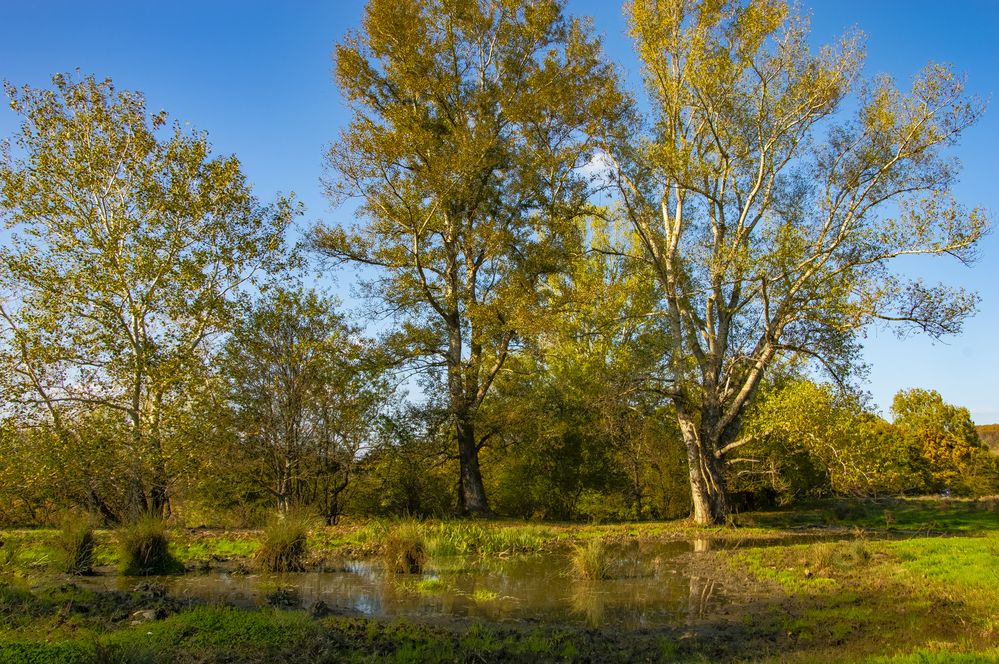 Photograph by Михаил Еремеев