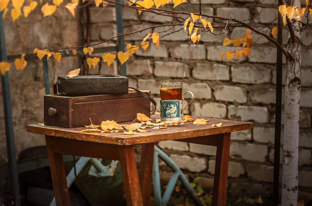 Photograph by Олег Коваль