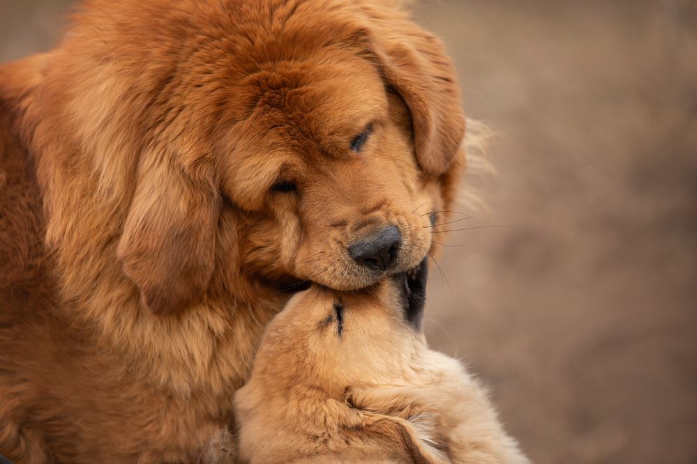 Фотография автора Татьяна Фролова