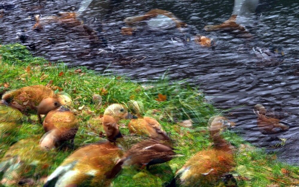 Photograph by Tatyana Markova