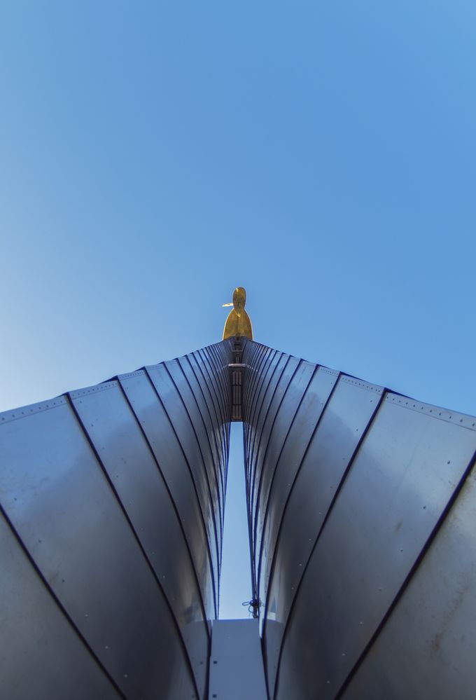 Photograph by Роман Тютин