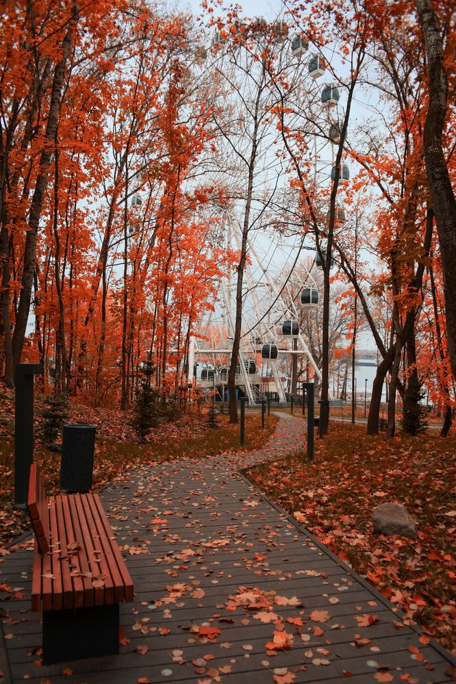 Photograph by Алексей Соймин