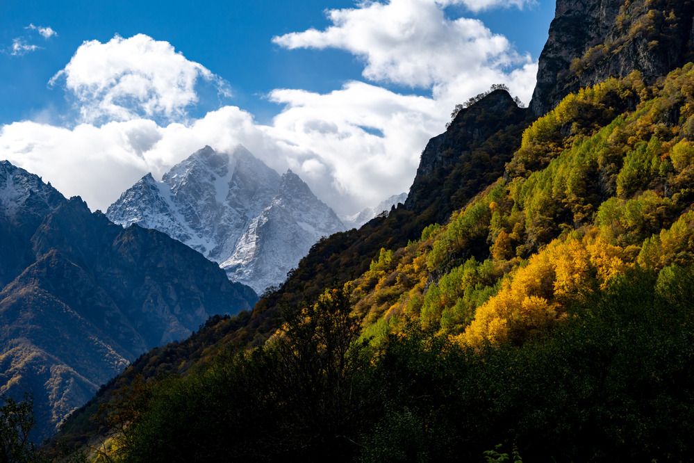 Фотография автора Ахмат Байсиев
