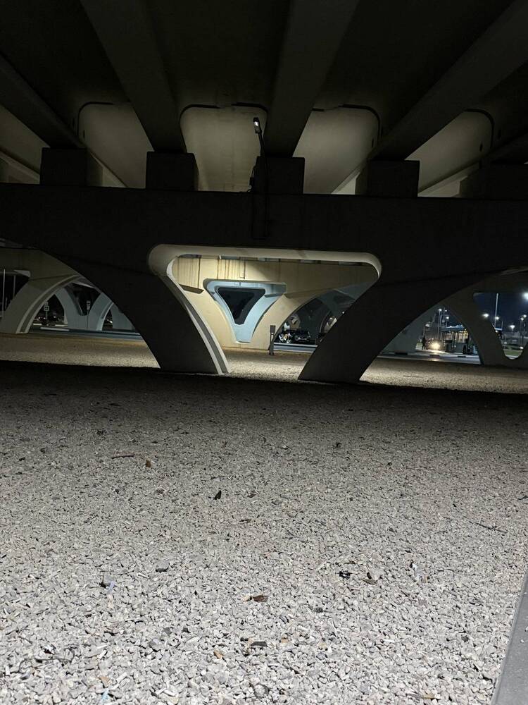 Фотография автора Ян Пчельников