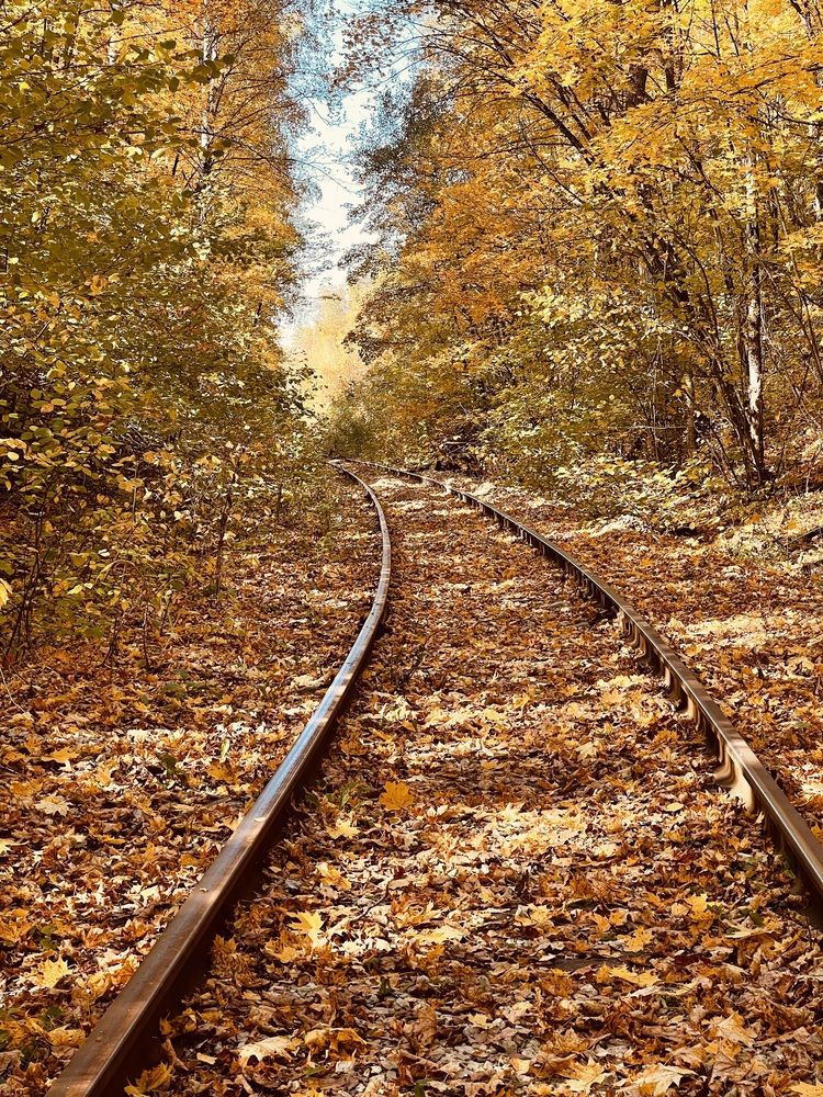 Photograph by Светлана Смук