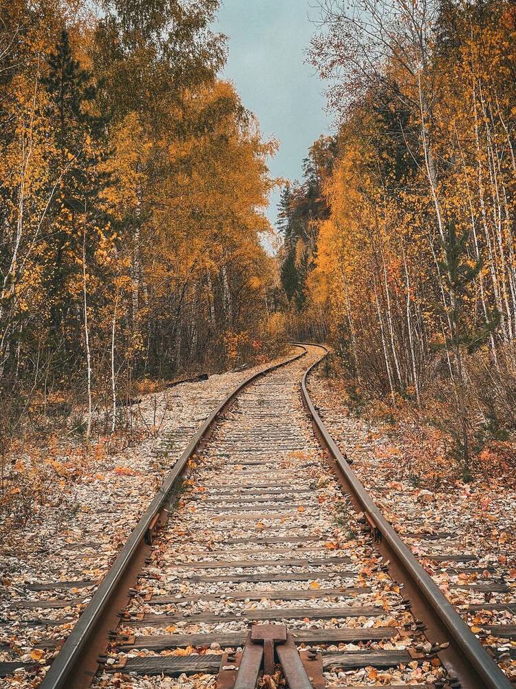 Photograph by Светлана Смук