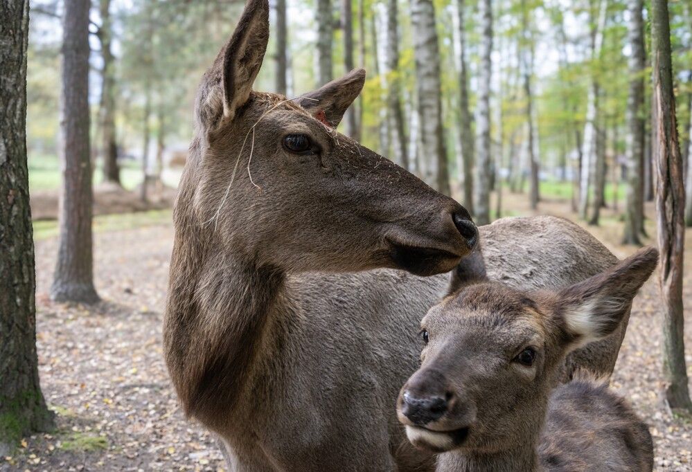 Photograph by Александр П