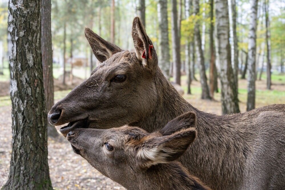 Photograph by Александр П