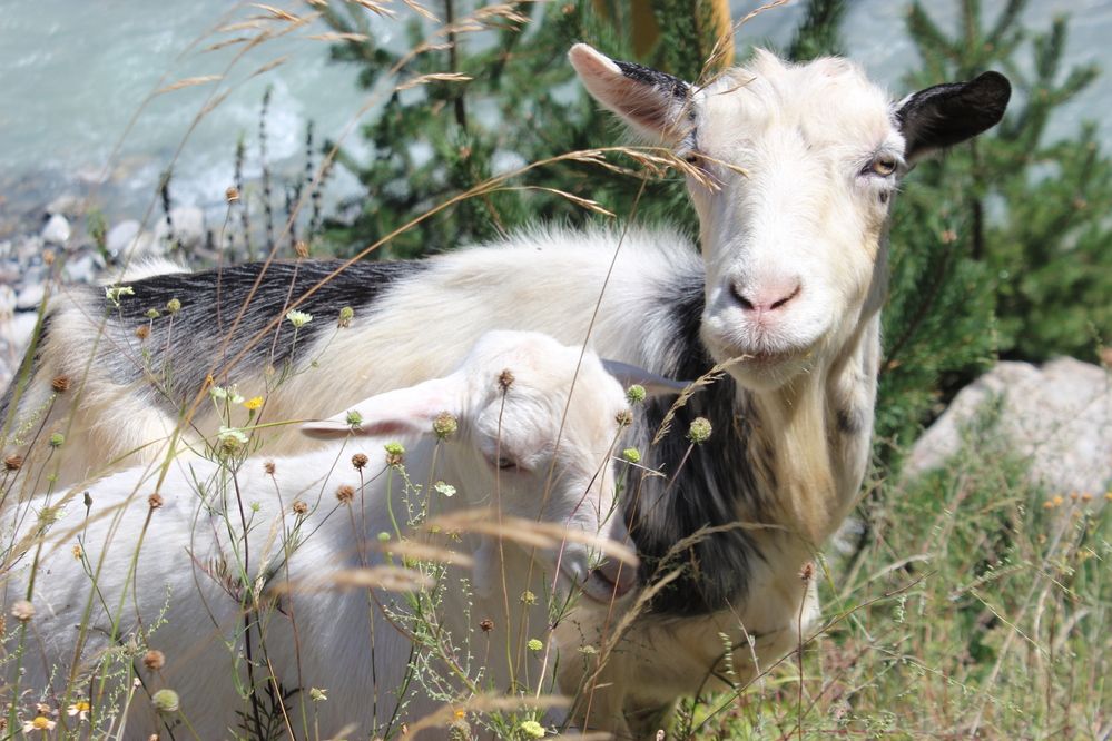 Photograph by Anastasia Kodatenko