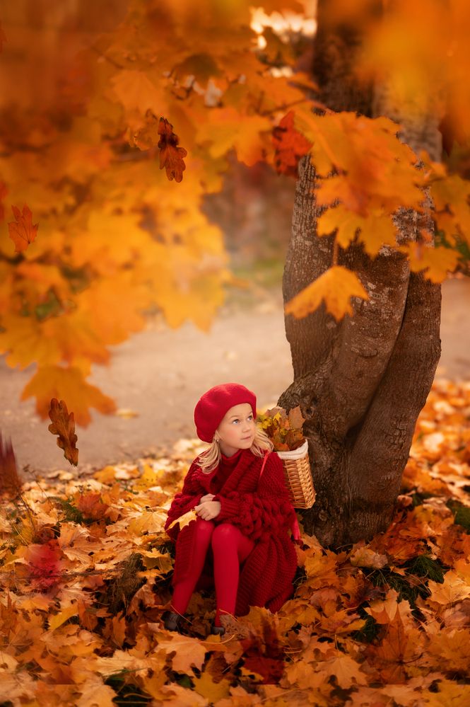 Photograph by Jelena