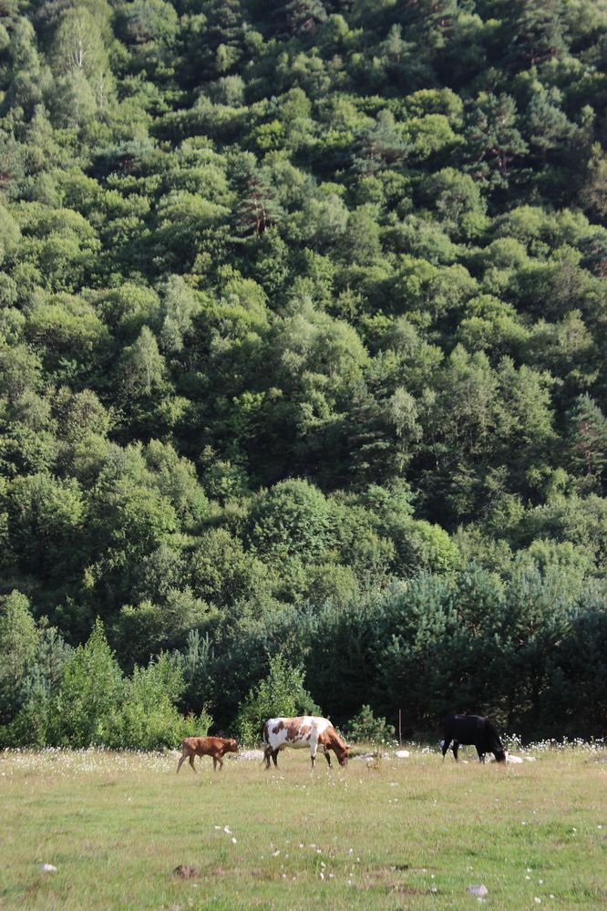 Photograph by Anastasia Kodatenko