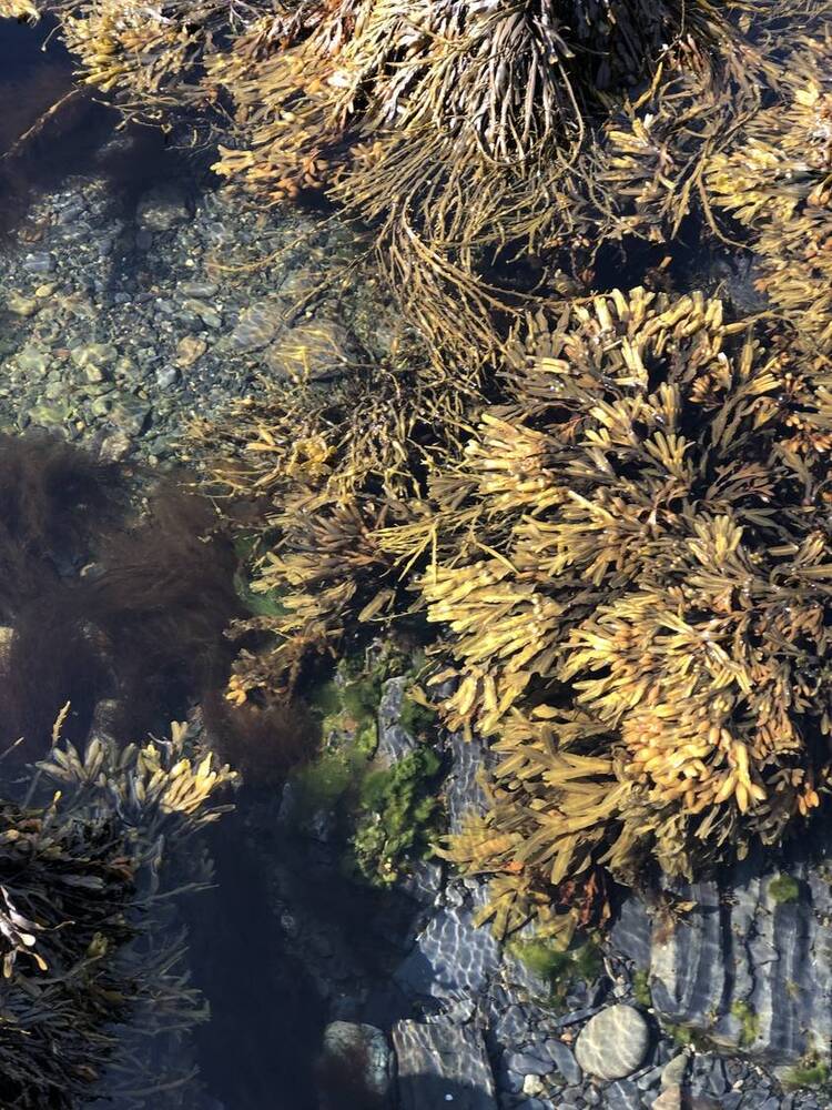 Photograph by Светлана