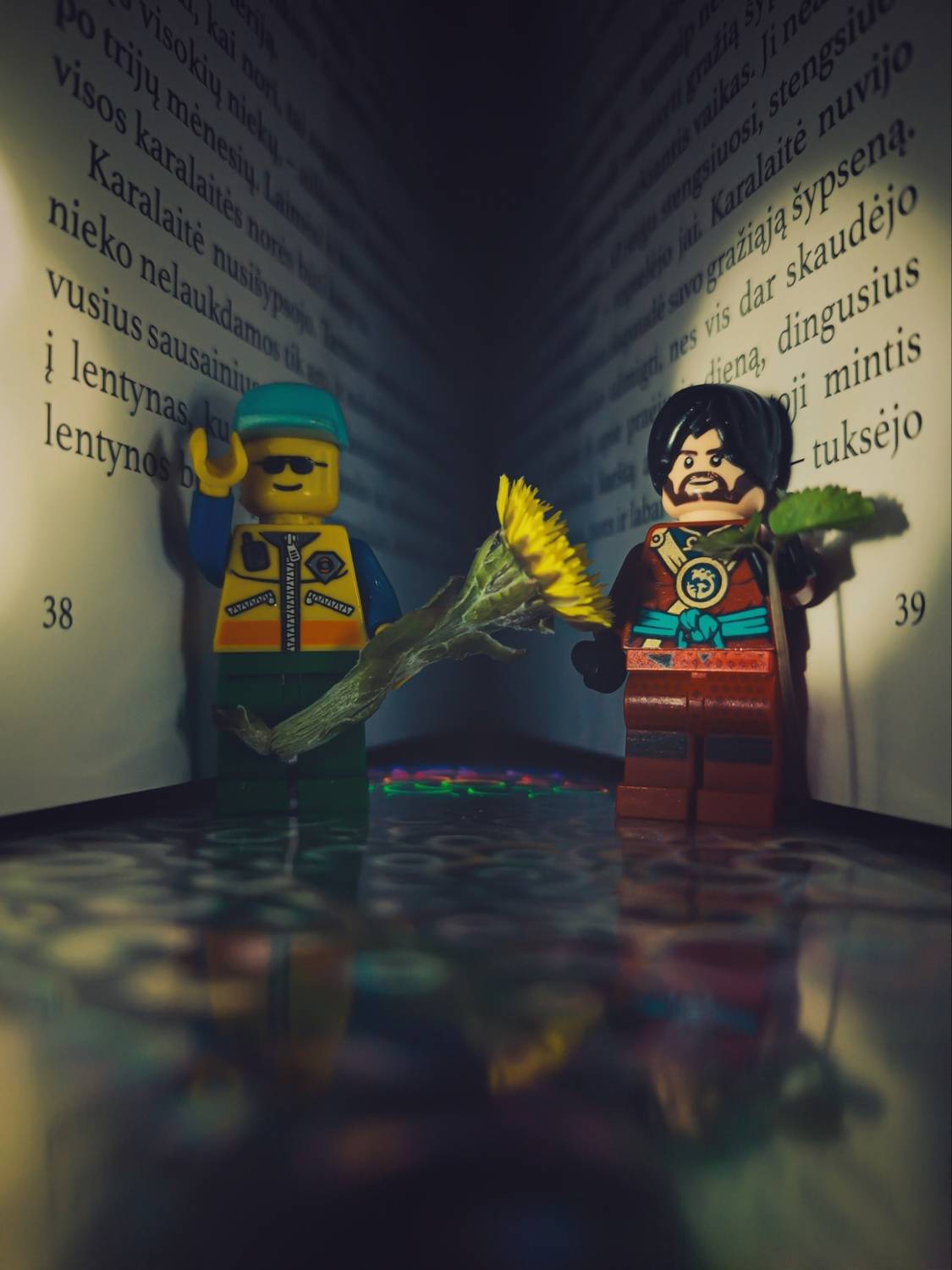 Photo #12720770