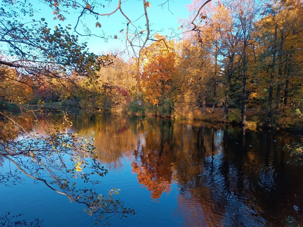 Photo #12720834