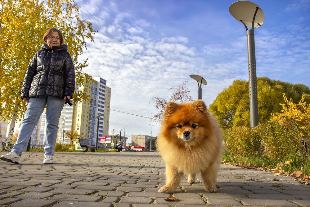 Photograph by Андрей Дудник