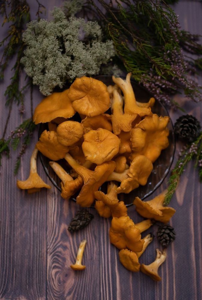 Photograph by Екатерина Одинцова