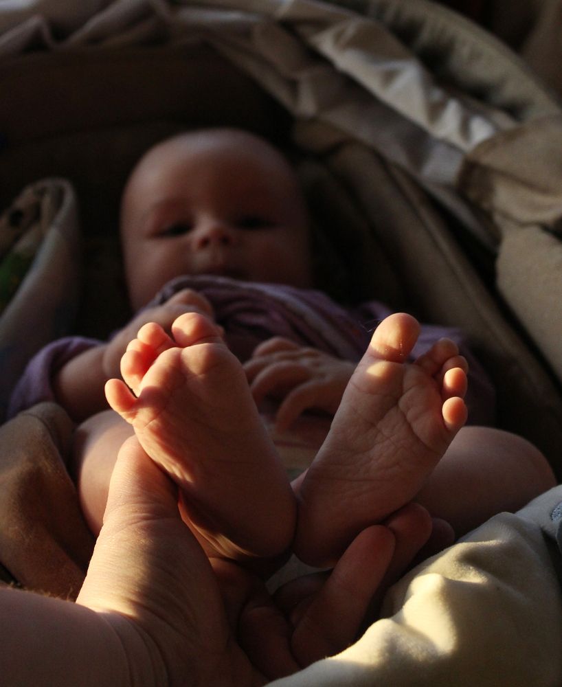 Photograph by Светлана Шубина