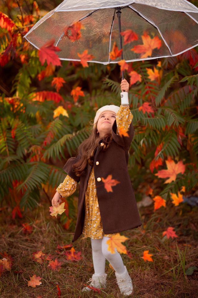 Фотография автора Inesa Darias Abreu