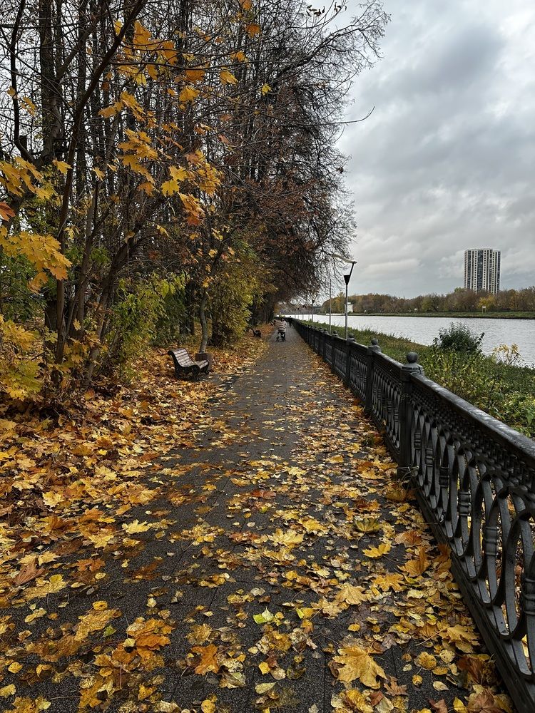 Photograph by Svetlana Rashidova