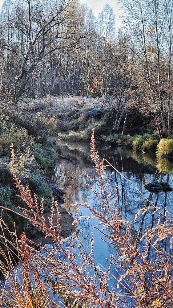 Photograph by Инна Мухина