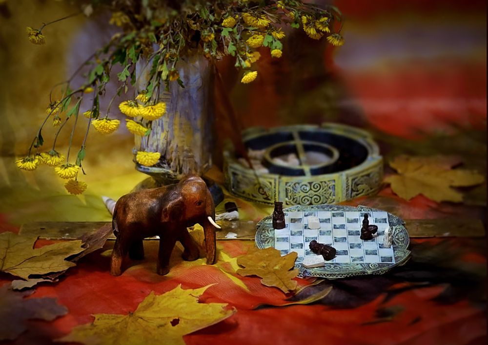 Фотография автора Лидия Киприч