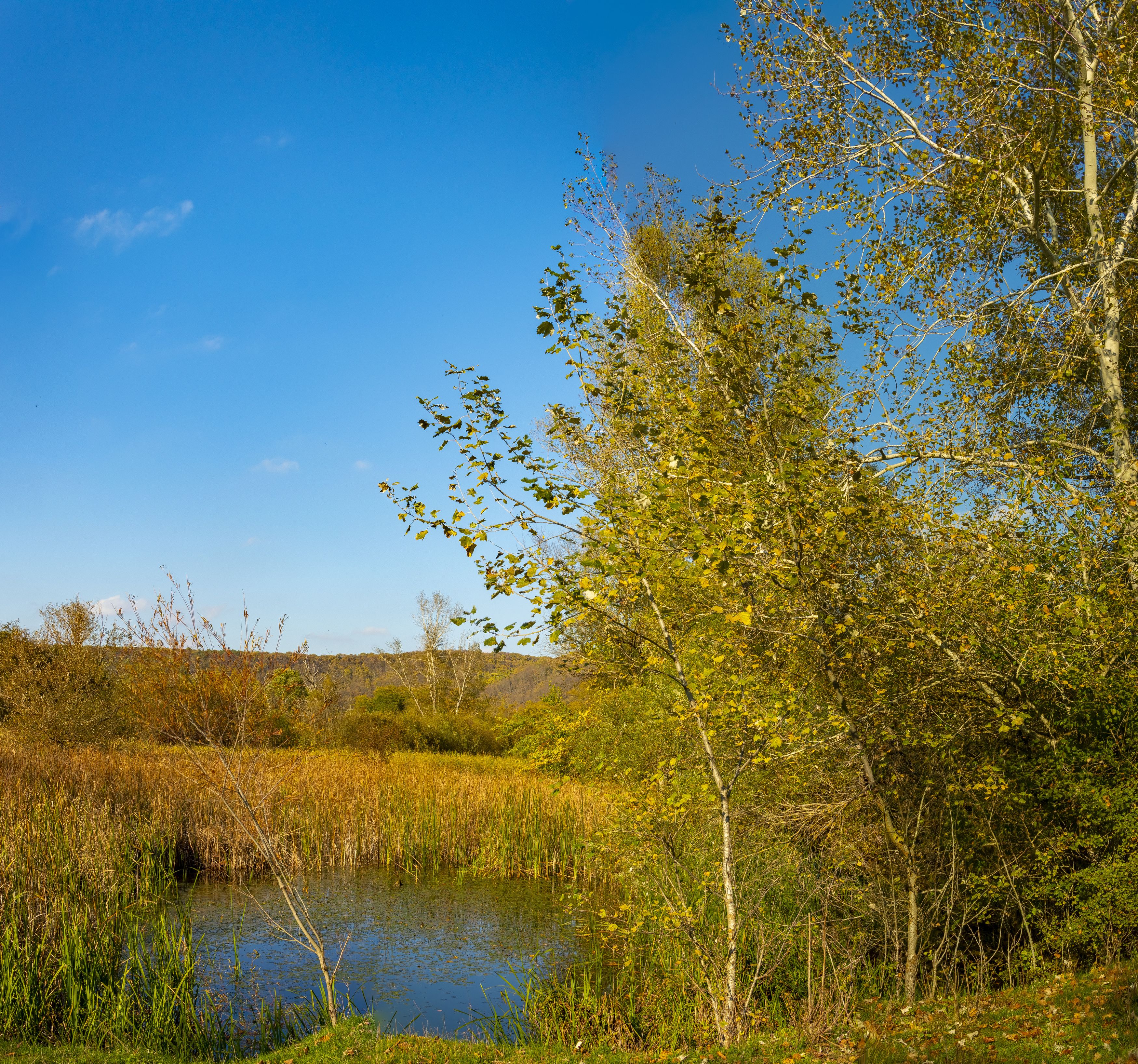 Photograph by Михаил Еремеев