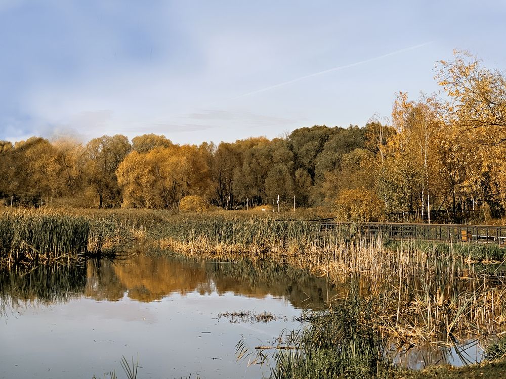 Photograph by Елена Чулюнина