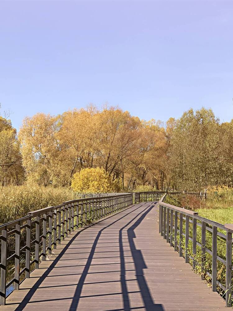 Photograph by Елена Чулюнина