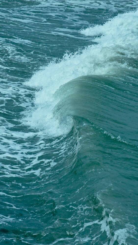 Photograph by Iryna Pravdiuk