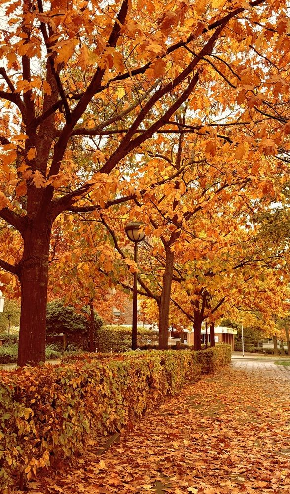 Photograph by Alena Tureva