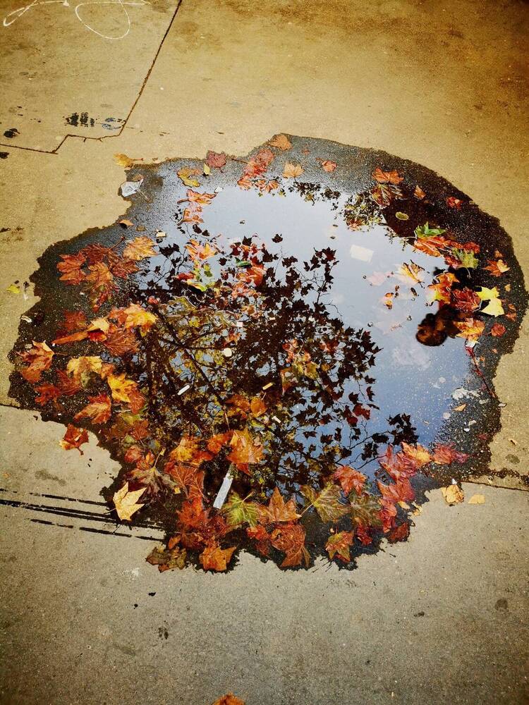 Photograph by Daniel Núñez