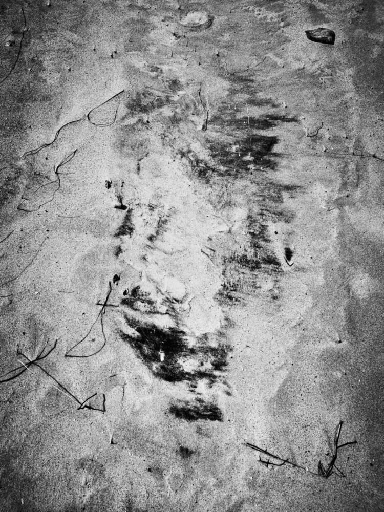 Photograph by Daniel Núñez