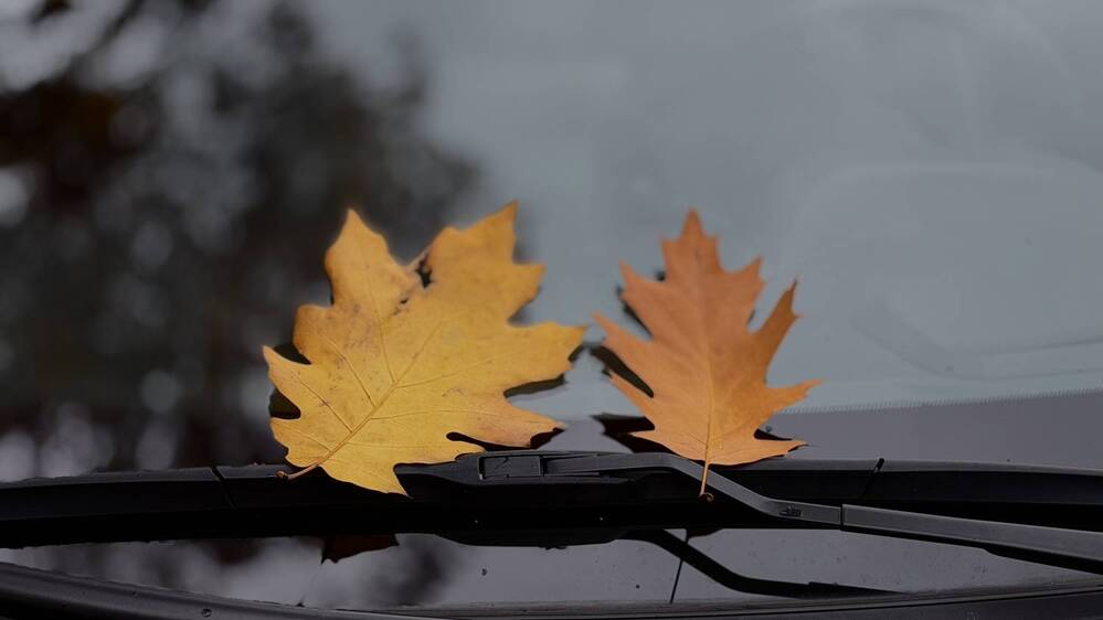 Photograph by Alena Tureva