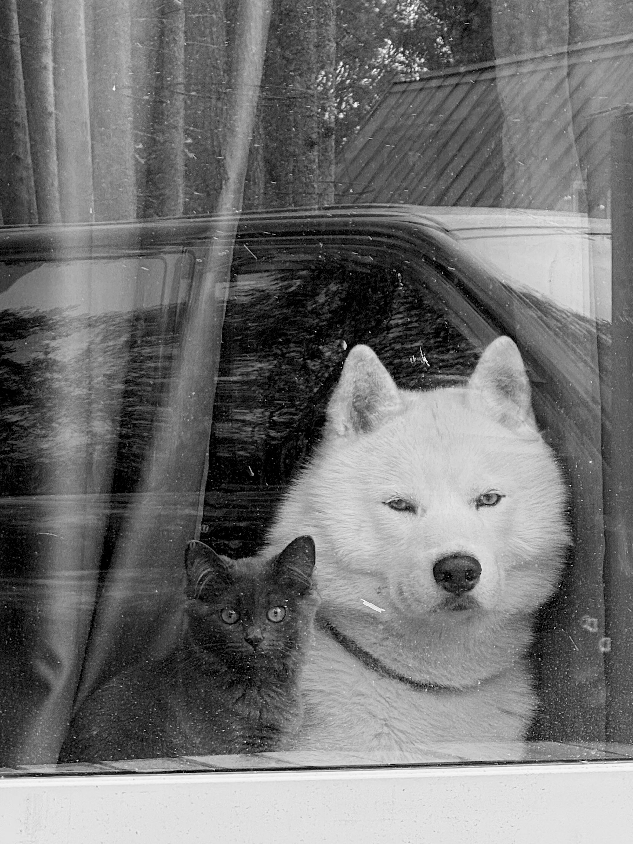Photograph by Николай Туманов