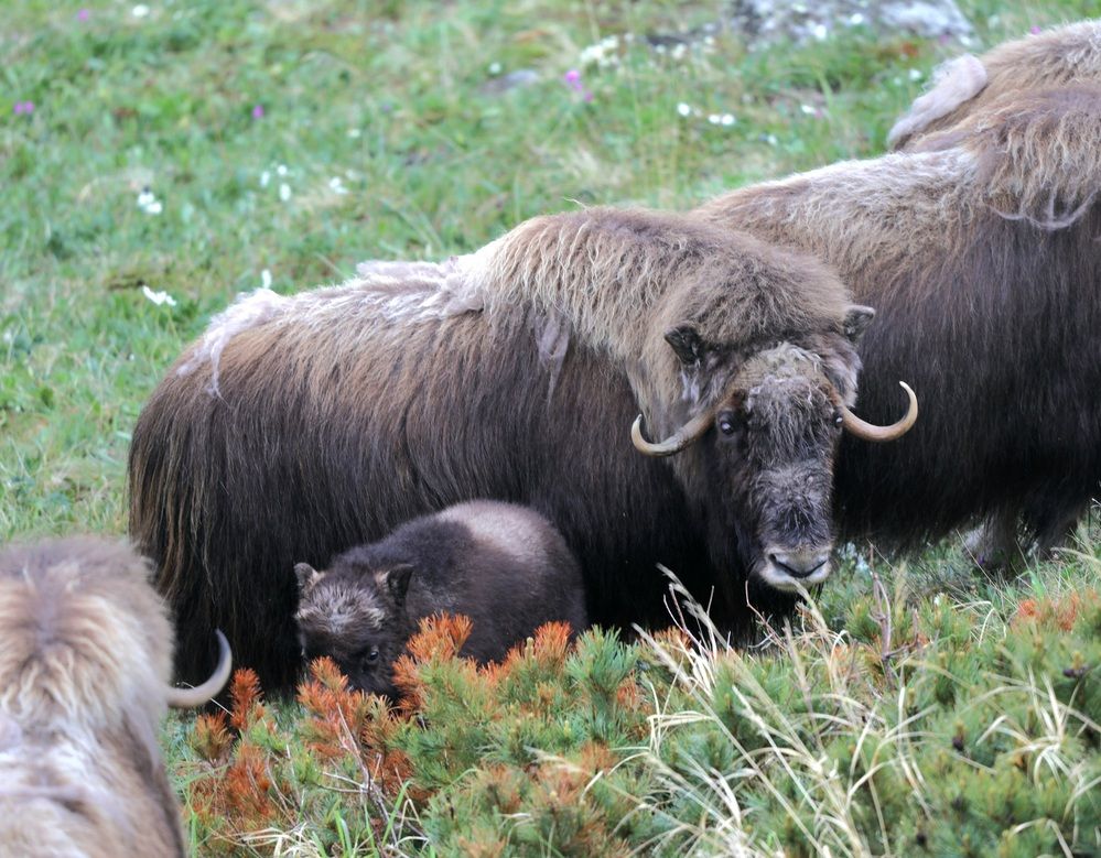 Photograph by Лариса Ким