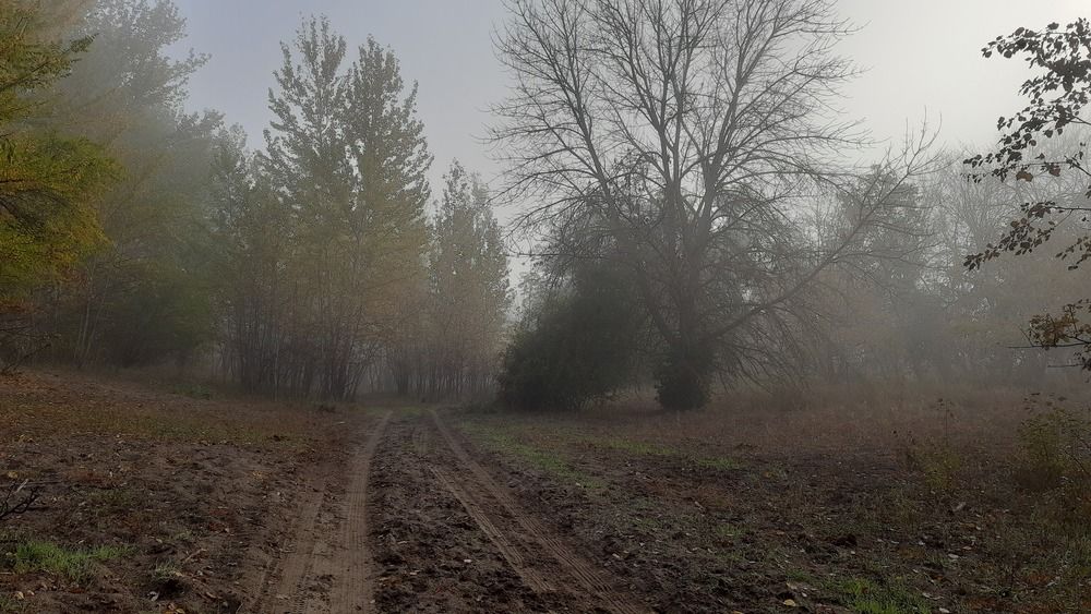 Фотография автора IGOR