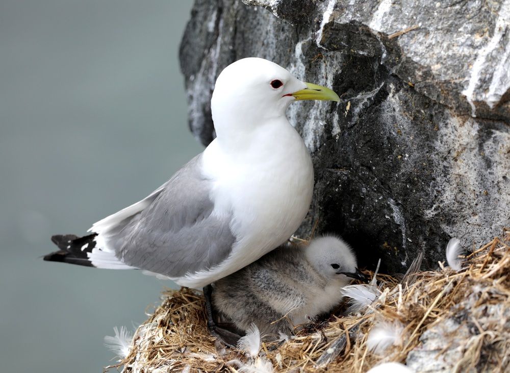 Photograph by Лариса Ким