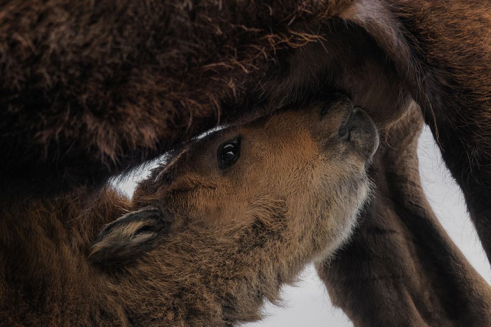 Photograph by Анжелика Титова