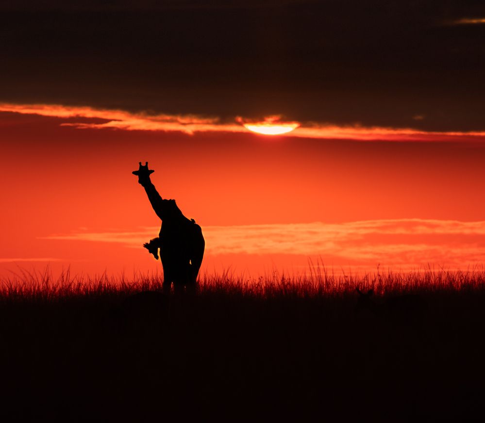 The Sky and her Son/Sun - From her shadows a light is born